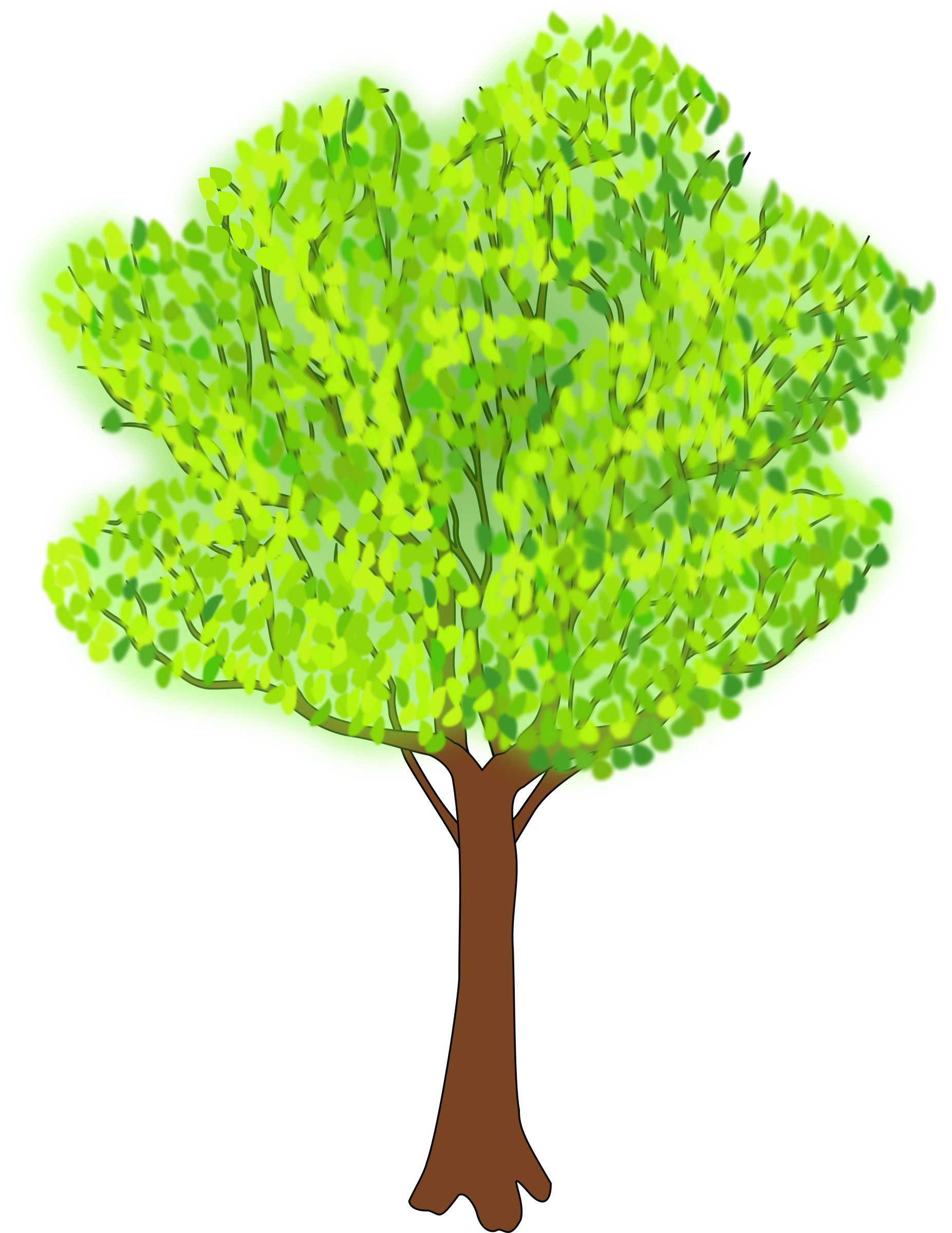 Tree In Summer - Summer Clip Art Tree (1853x2400)