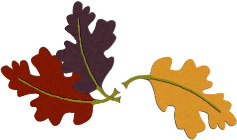 Oak Leaves Of Tree Hill Learning Center Preschool At - Oak Leaves Of Tree Hill Learning Center Preschool At (500x300)