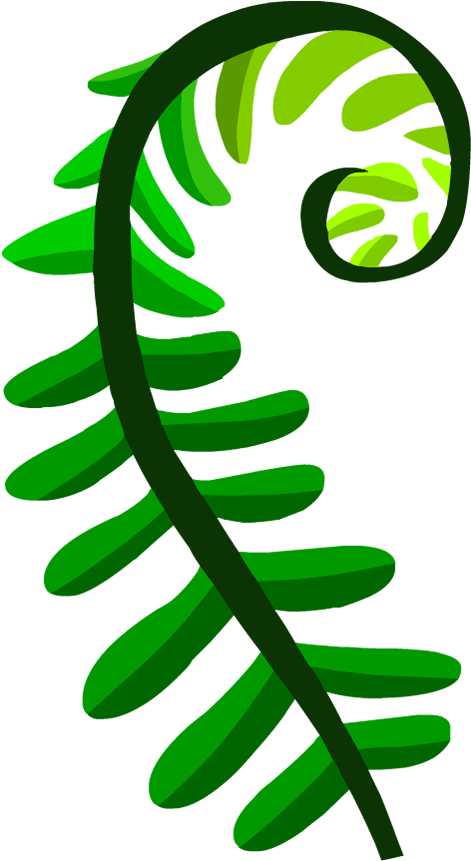 Seedless Plants - Mathematics (880x880)