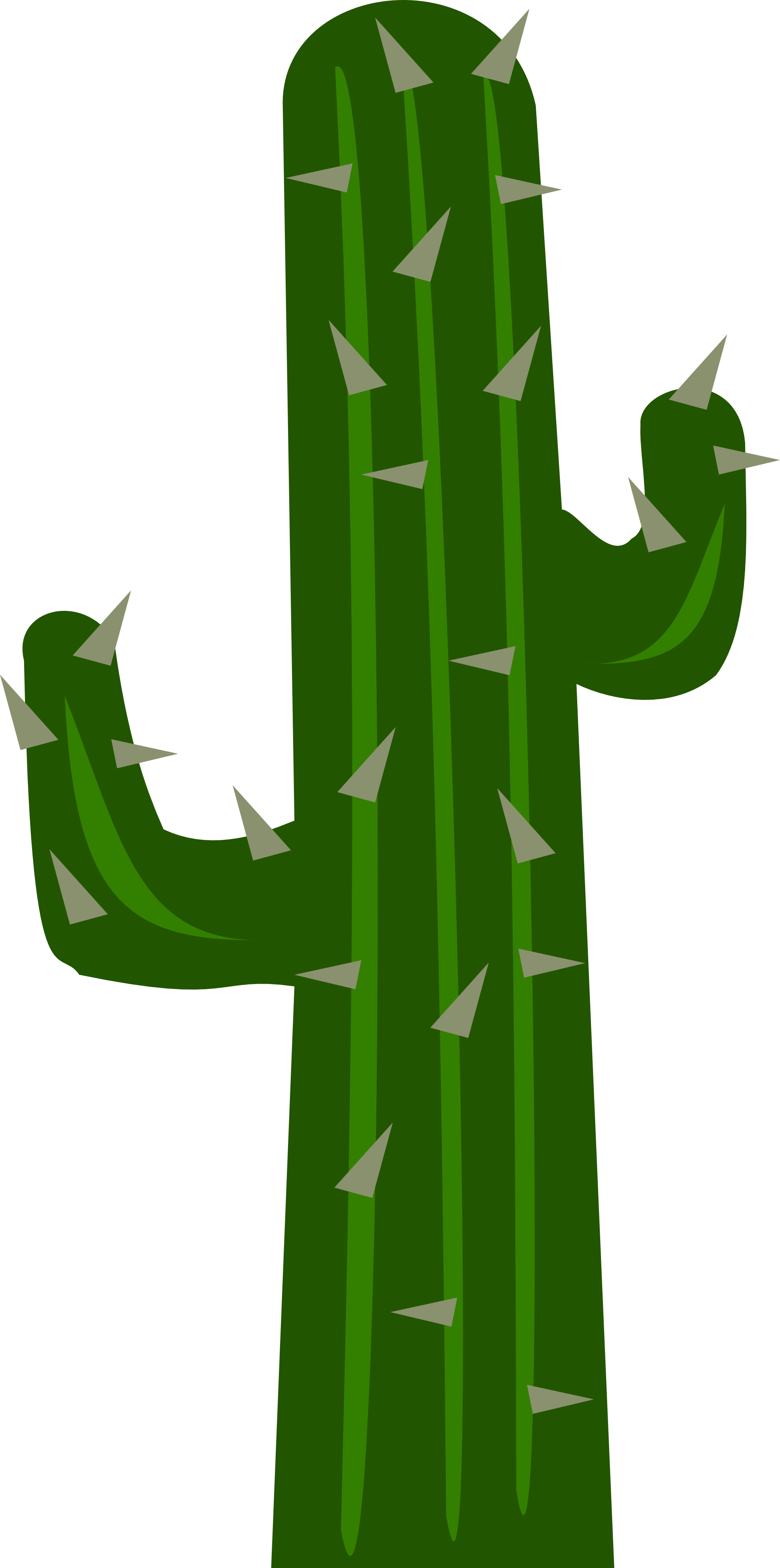 Big Image - Cactus Png (1969x3958)