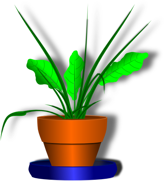 Potted Plant Clip Art Png - Bunga Dan Pot Animasi (555x671)