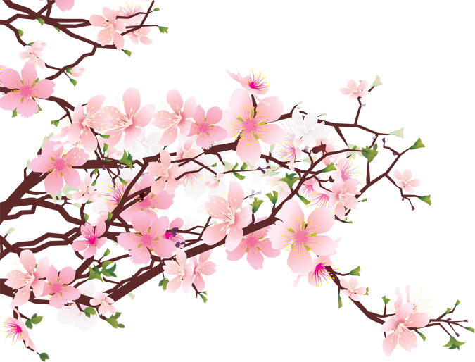 Cherry Blossom Drawings Clip Art - Passages Of Love [book] (675x514)