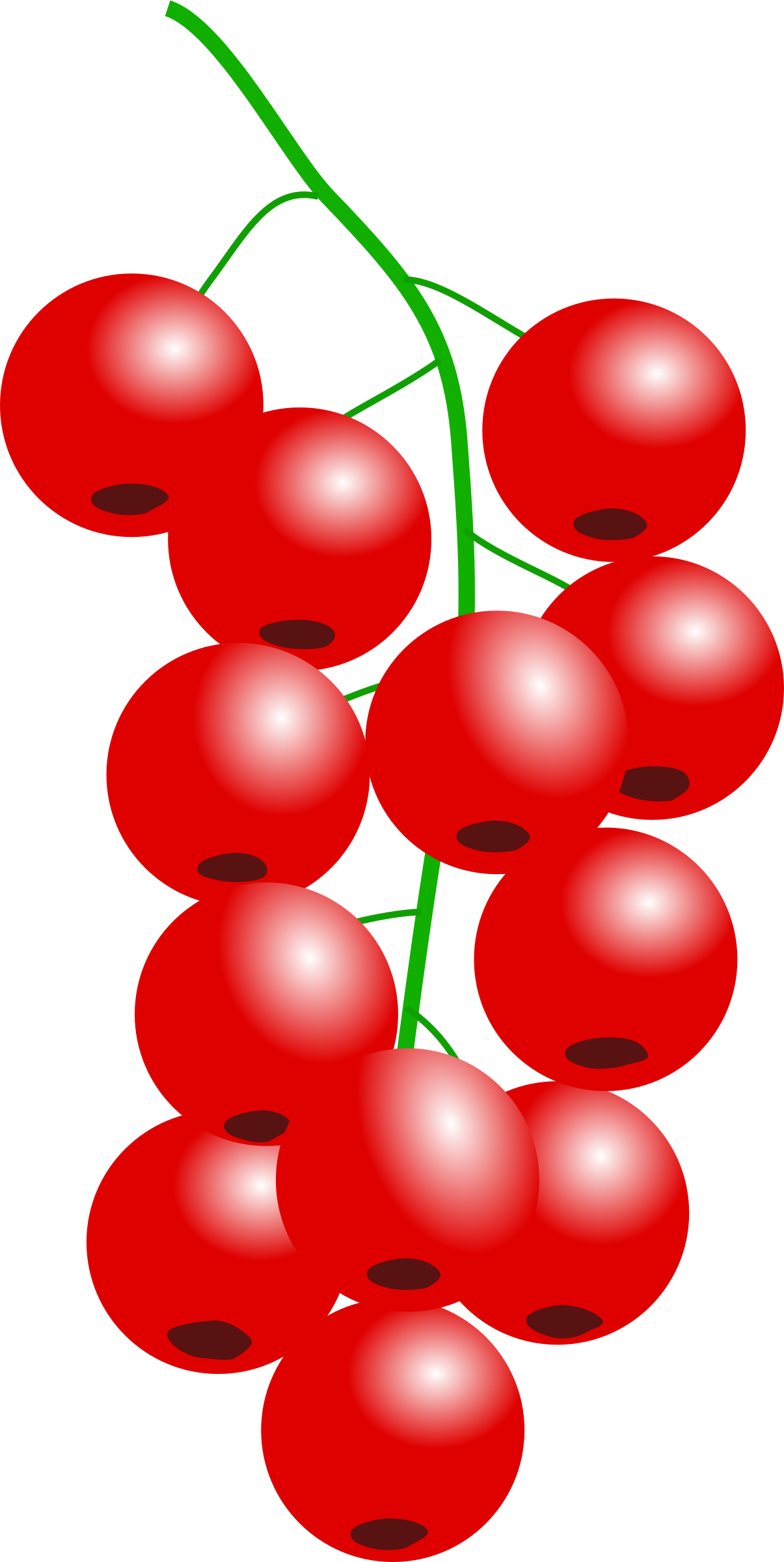 This Free Icons Png Design Of Redcurrant Png - Red Berries Shower Curtain (1205x2400)