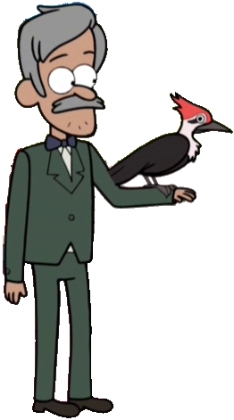 The Woodpecker Guy Is A Middle-aged Man, As Evidenced - Gravity Falls Woodpecker Guy (262x471)