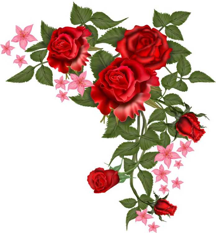 Vector Rosa Png - Png Transparent Flower Vector (695x750)