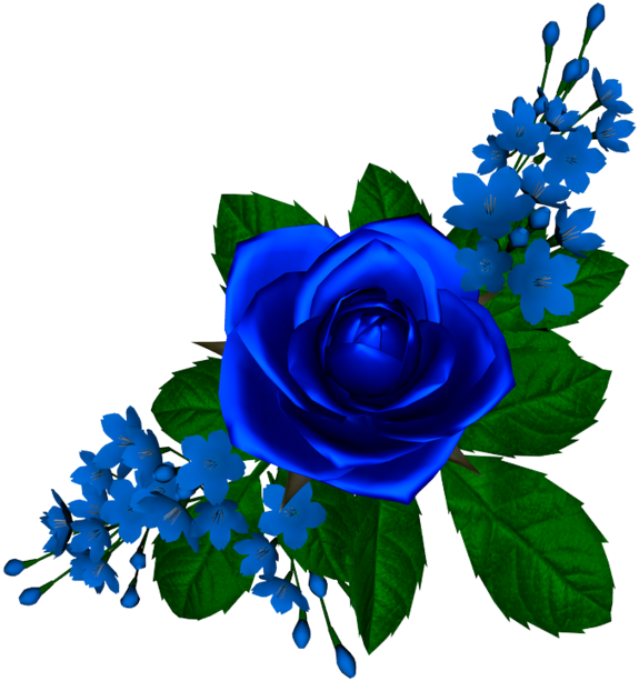 Tube Flores-rosa Azul - Desenhos De Rosas Azuis (600x740)
