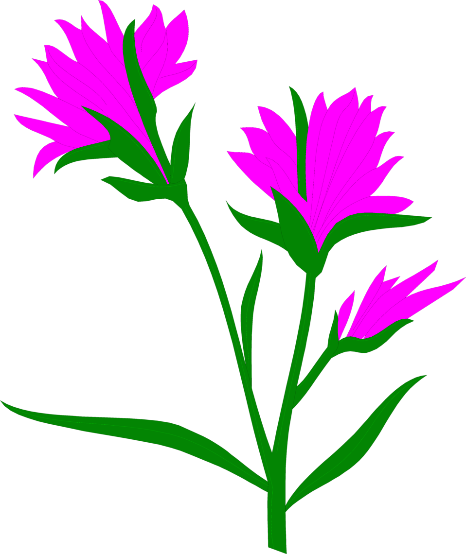 Indian Paintbrush Free Stock Photo Illustration Of - Self Pollination And Cross Pollination (958x1140)