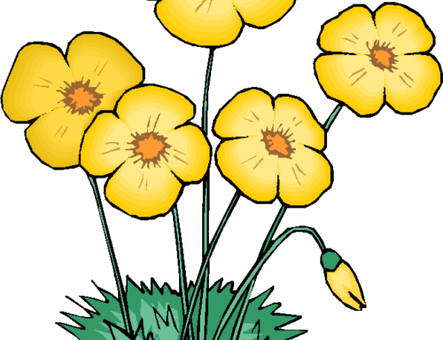 Flower Sale - Animated Flowers (500x383)