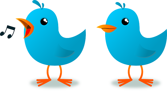 Blue Cartoon Birds Vector-symbol Of Twitter - Cartoon Bird (640x350)