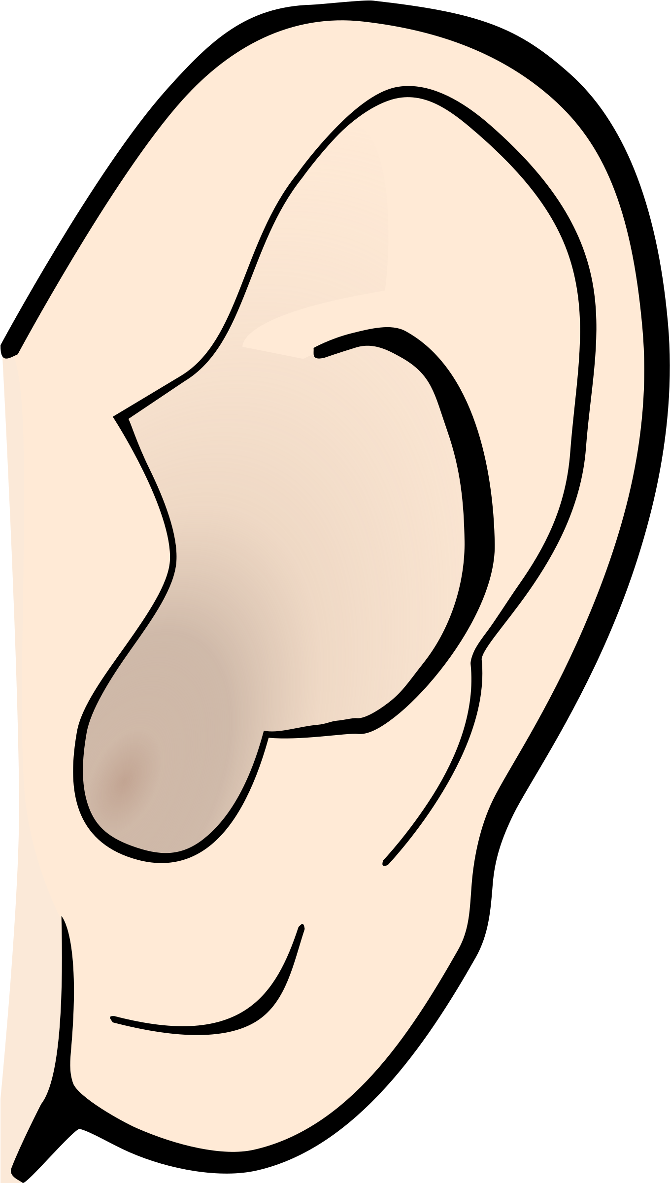 Sense Organs Ear Clipart - Ear Clipart (1671x2400)