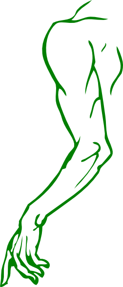 This Free Clip Arts Design Of Left Arm - Cost An Arm And Leg (252x589)