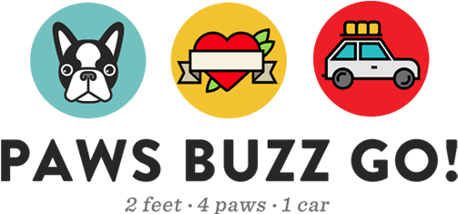 Paws Buzz Go - Cogent Communications (502x256)