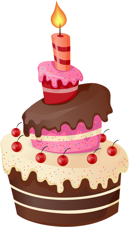 Cupcake Cakes - Happy Birthday: Celebration And Memory Book (445x800)