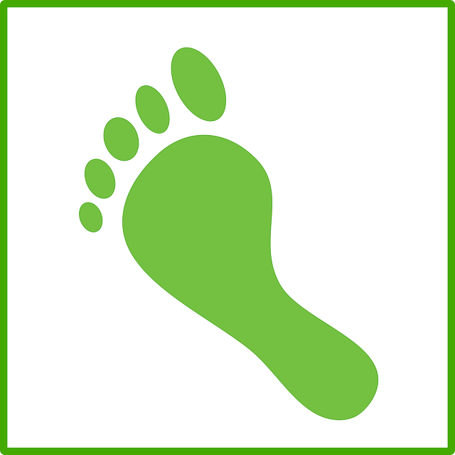 Toes Foot, Footprint, Green, Toes - Carbon Footprint Icon (640x640)