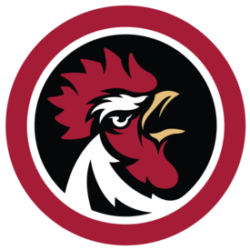 South Carolina, At, Tennessee - Garnet And Black Attack (400x320)