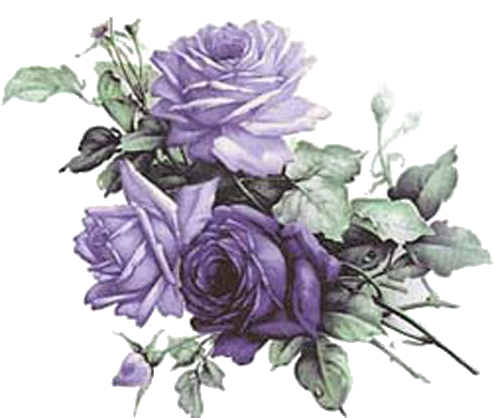Rose - Vintage Purple Rose Clip Art (500x417)