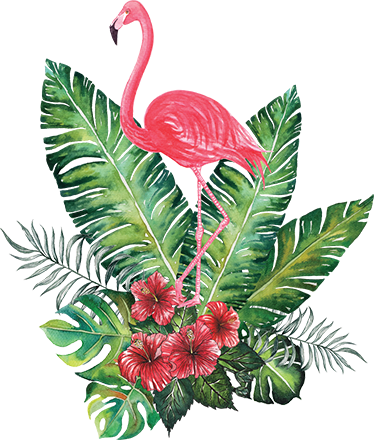 Couleur De Votre Mur - Flamingo Png (374x440)