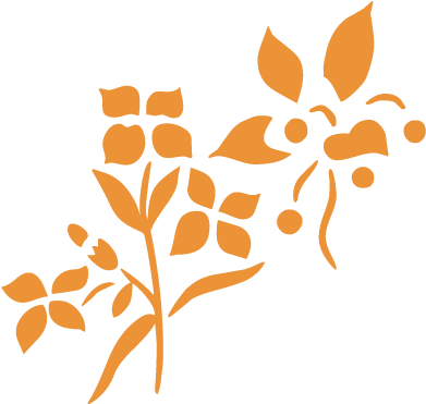 Tabla De Surf Soul Surfboards Buddy (500x500)