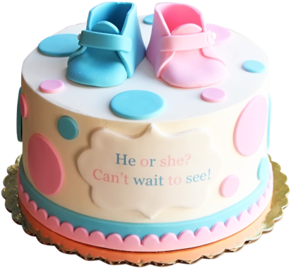 Can't Wait To See Cake - Genders Reveals Cakes Sheets Cake (500x688)