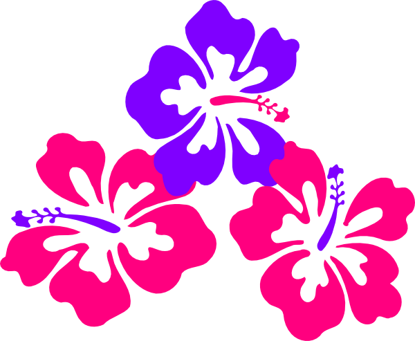 Hibiscus Trio Clip Art At Clker - Clip Art Hibiscus (600x493)