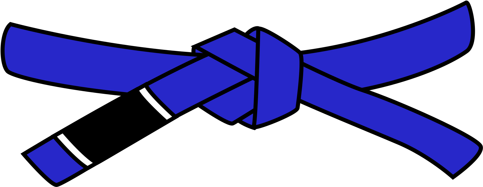 Open - Jiu Jitsu Blue Belt (2000x1391)