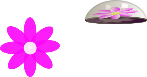 Flower In Glass Paper Weight - Bike Sprocket Clip Art (512x270)