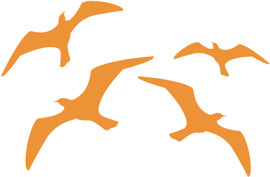 Stencil Aerografia Tattoo Animal 025 Gaviotas Volando - Stencil (500x500)