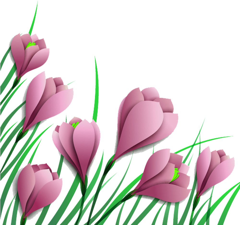 Autumn Crocus Purple Clip Art - Autumn Crocus Purple Clip Art (999x999)