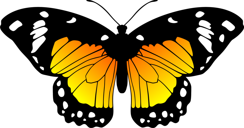 Millions Of Hd Png Unlimited Download Absolutely Free - Miraculous Ladybug Butterfly Oc (1024x537)