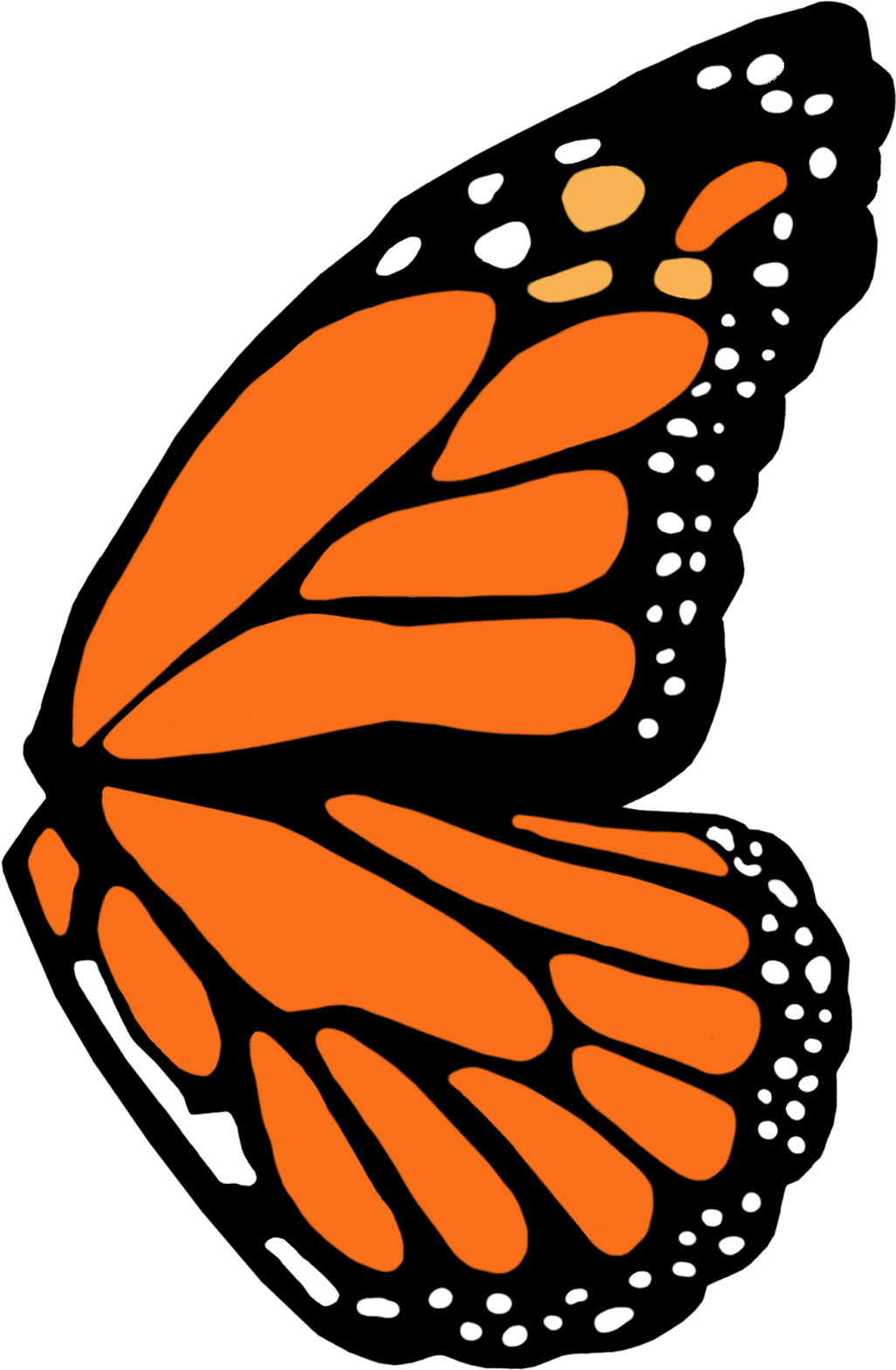 Full Left Monarch Butterfly Wing Template - Brush-footed Butterflies (1045x1600)