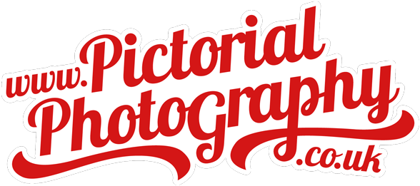 How To Take Better Group Photos On Christmas Day Pictorial - Pictorial Photography (600x278)