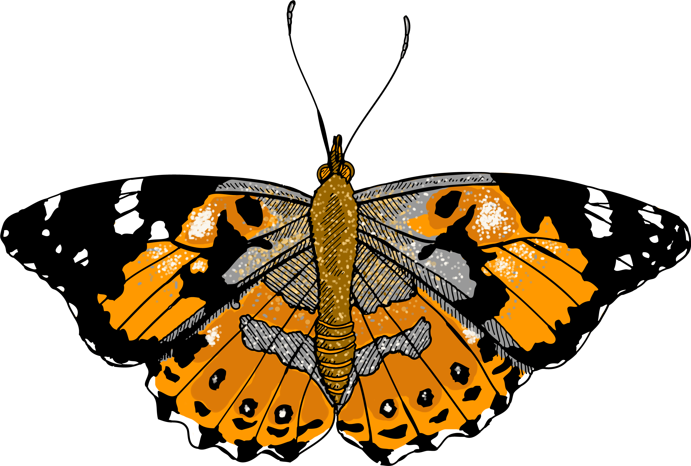 Monarch Butterfly Clipart One - Illustration (3300x2550)