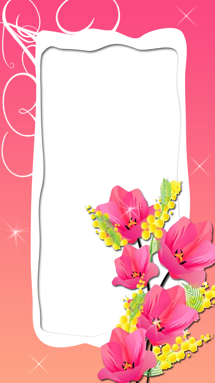 Free Download - Pink Png Frames With Flowers (720x1280)