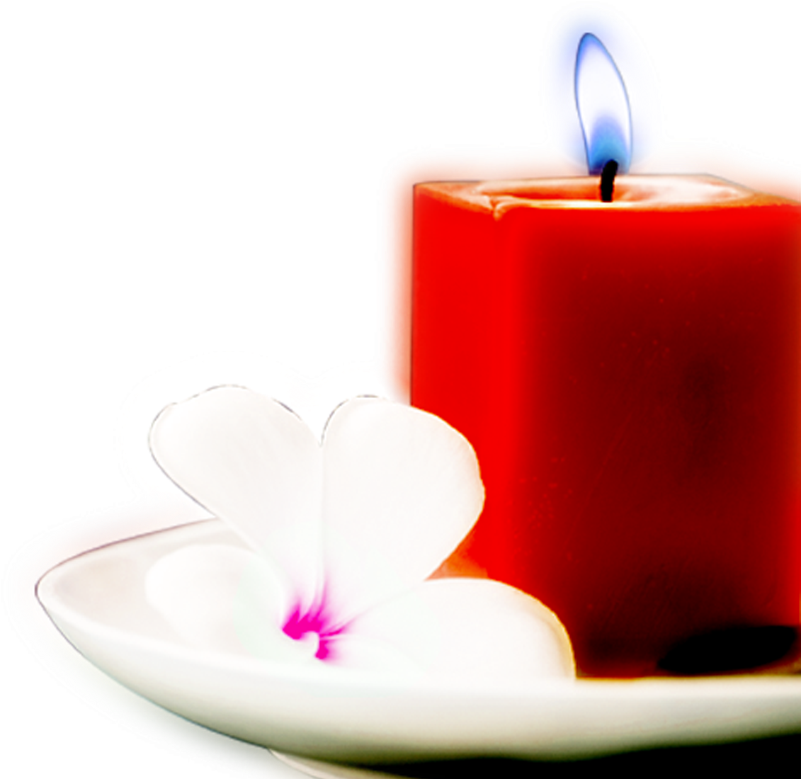 Beautiful Flowers Beautifully Candle Decorative Plates - Beautiful Flowers Beautifully Candle Decorative Plates (1183x1099)