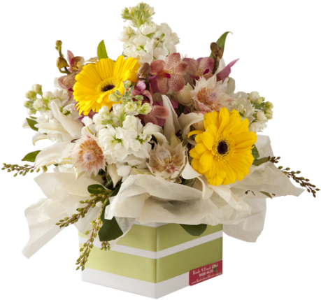 Cut Flowers Floristry Floral Design Flower Bouquet - Cut Flowers Floristry Floral Design Flower Bouquet (500x500)