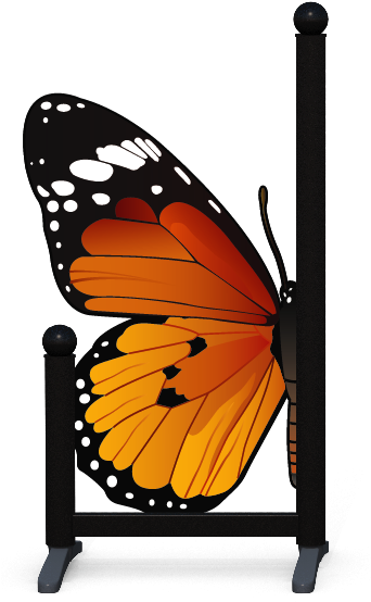 Butterfly - Butterflies And Moths (341x596)