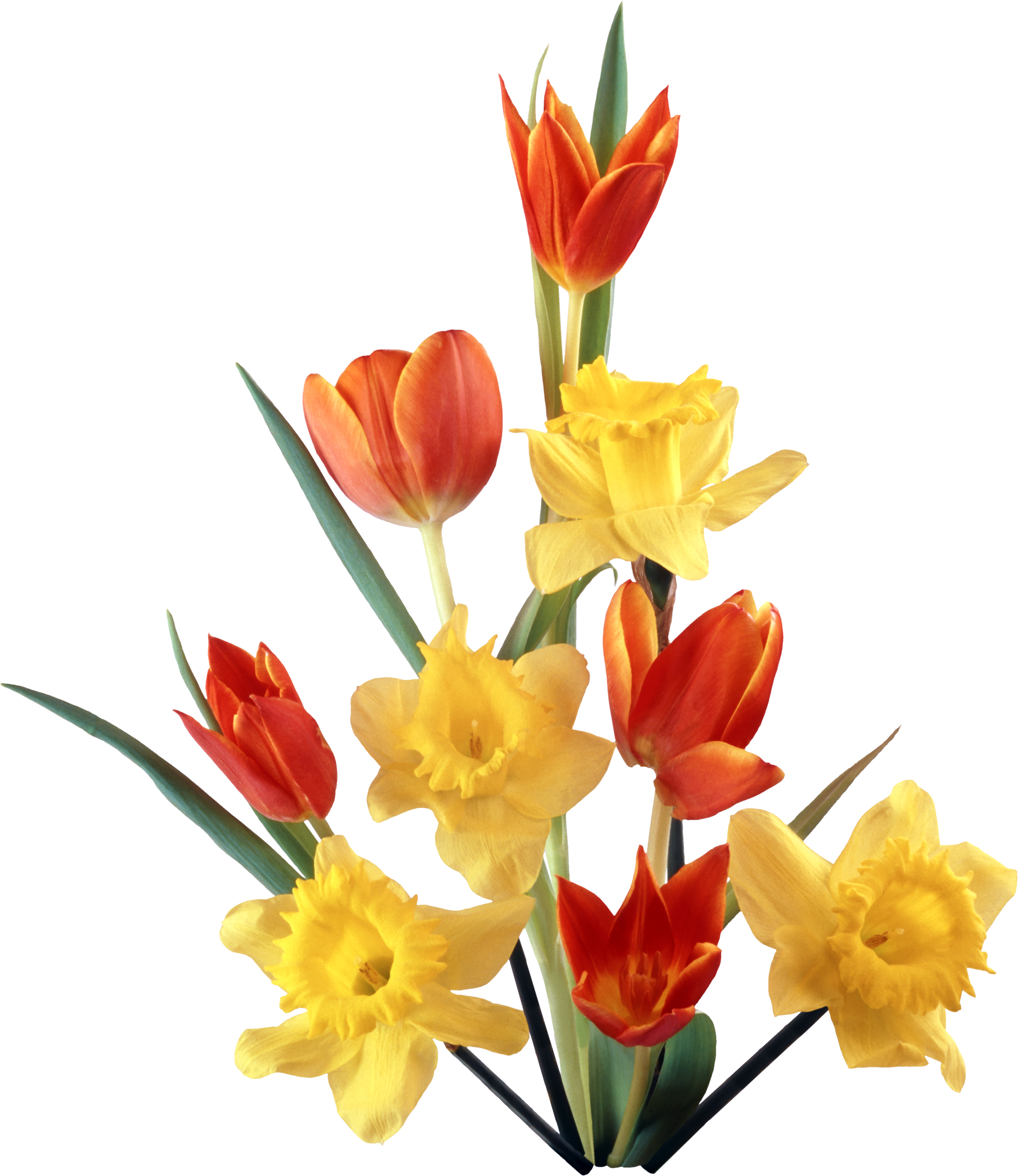 Birthday Flower Bouquet Holiday Clip Art - Birthday Flower Bouquet Holiday Clip Art (2771x3200)