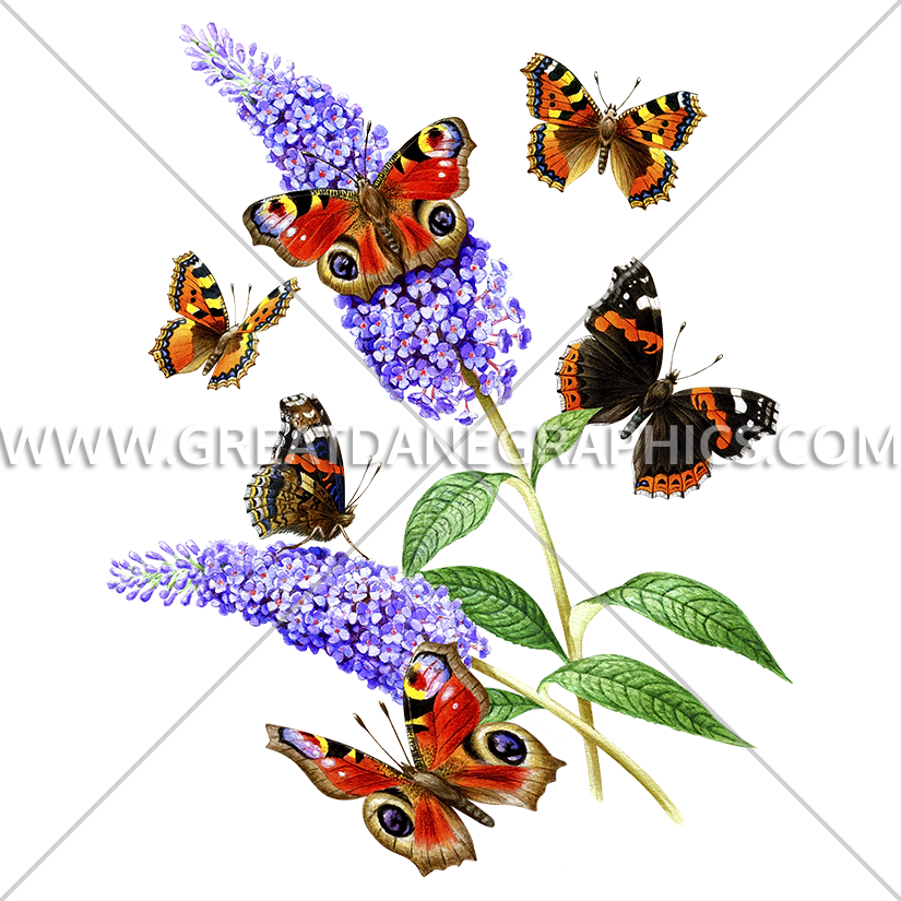 Butterflies & Flowers - Los Angeles Apparel (825x825)
