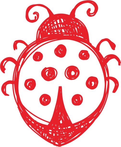 Beetle Ladybird Drawing Clip Art - Desenhos De Giz Png (504x614)