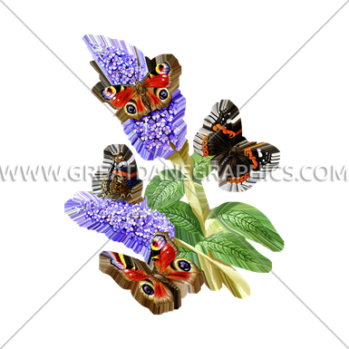 Butterflies & Flowers - Apatura Iris (385x385)