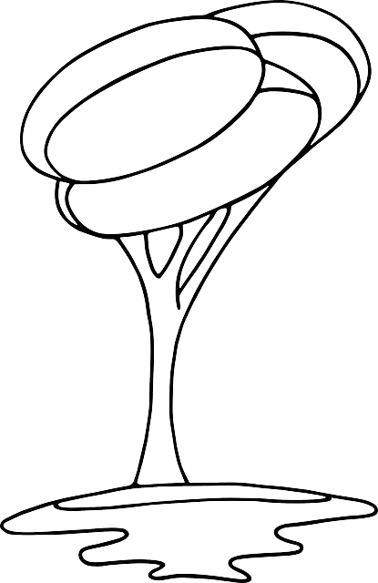 Plant Evergreen, Plants, Modern, Plant - Modern Tree (415x640)