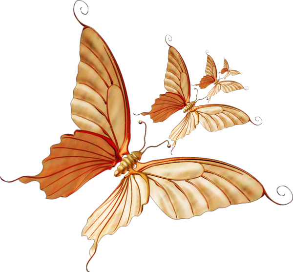 Monarch Butterfly Clip Art - Papilio (600x557)