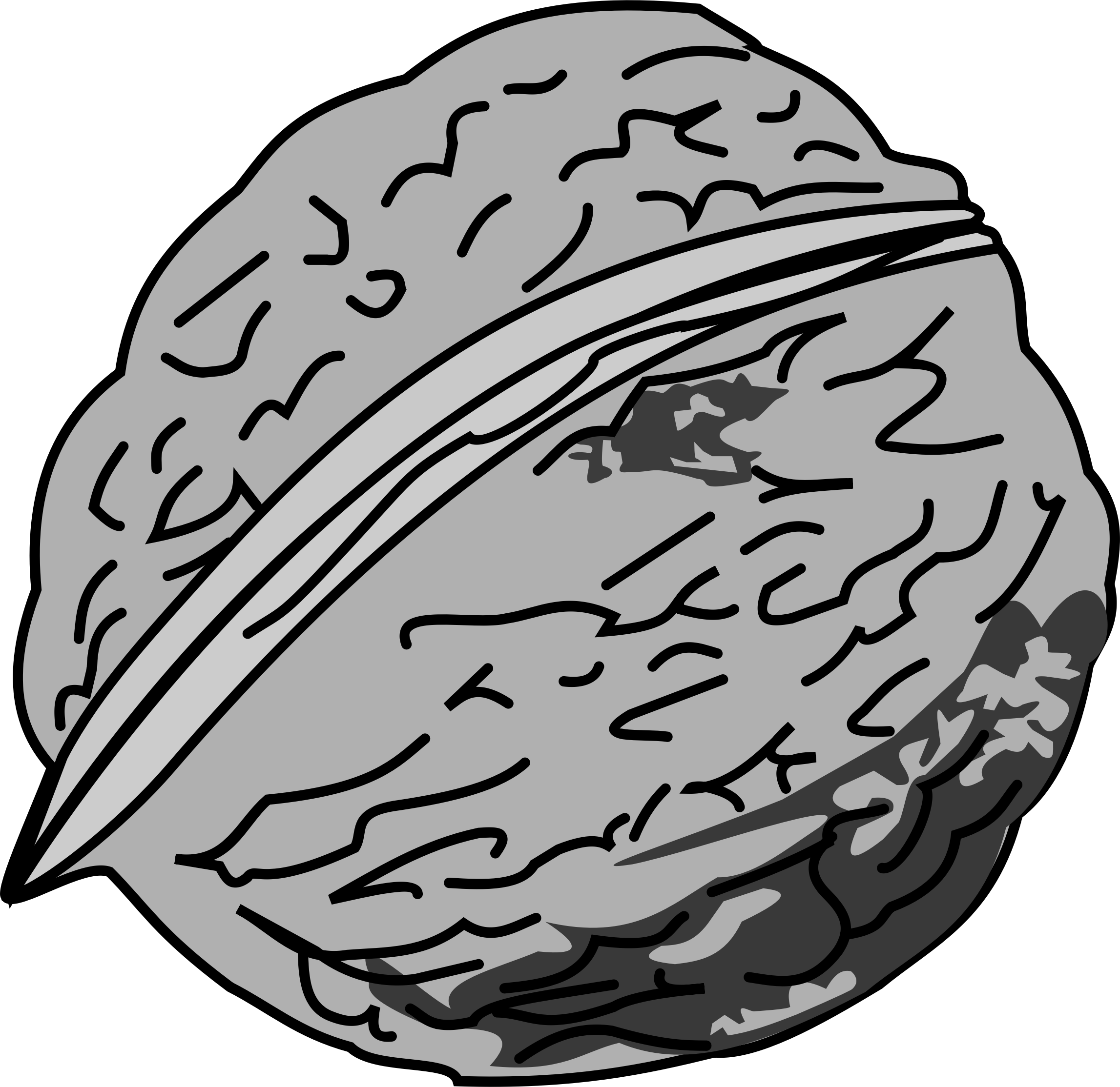 Big Image - Black And White Image Of Walnut (2294x2228)