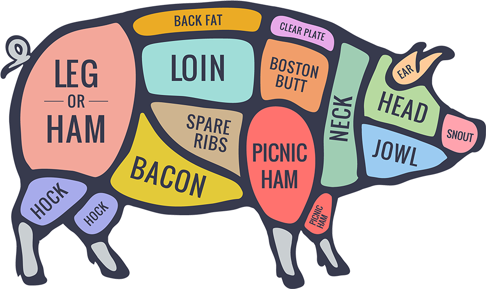 Pork - Meat From Pig Diagram (1000x1000)