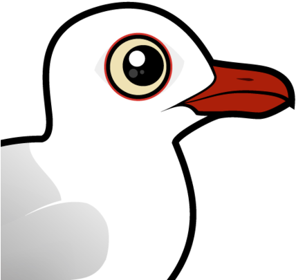 About The Silver Gull - Cartoon (440x440)