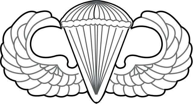 United States Air Force Parachutist Badge - Air Force Parachute Badge (640x347)