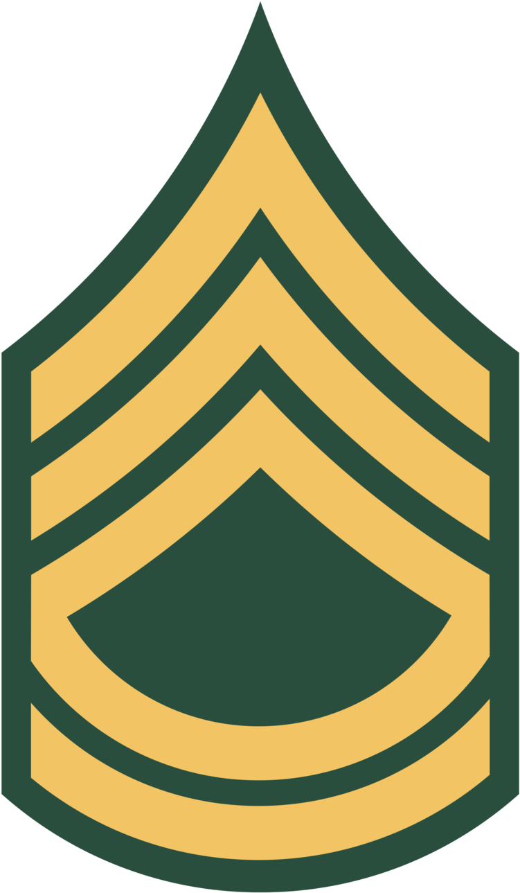Sergeant First Class (e-7) - Us Army Sergeant First Class Rank (2000x3300)