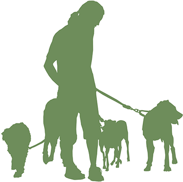 Dog Wallking Icon - Dog Walking (460x426)