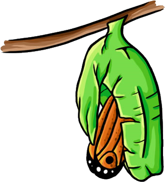 George Learns A Valuable Lesson In The Summer Which - Butterfly Coming Out Of Cocoon Clipart (400x400)