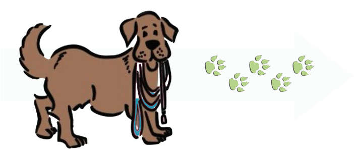 To Help Our Dogs Find The Right Homes, And To Help - Saving Grace Animal Shelter (800x300)
